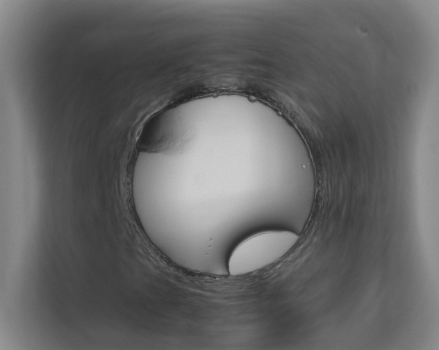 X0000113871201200909240959