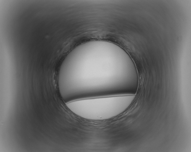 X0000113871202200909240959