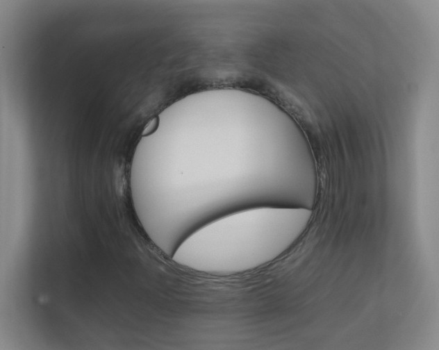 X0000113871204200909240959
