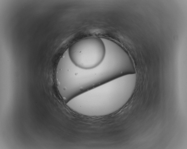 X0000113871205200909240959