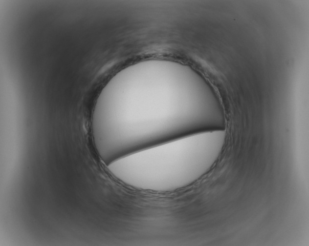 X0000113871206200909240959