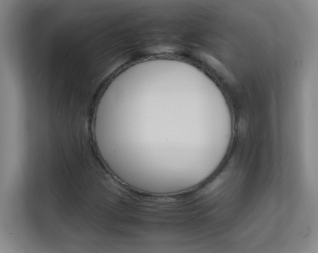 X0000113871209200909240959