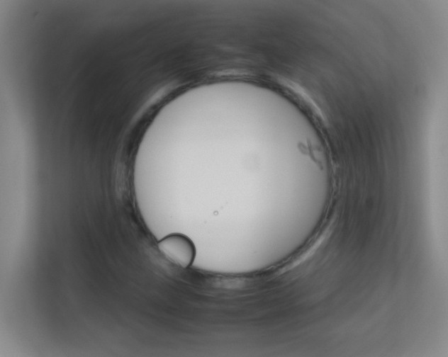 X0000113871211200909240959