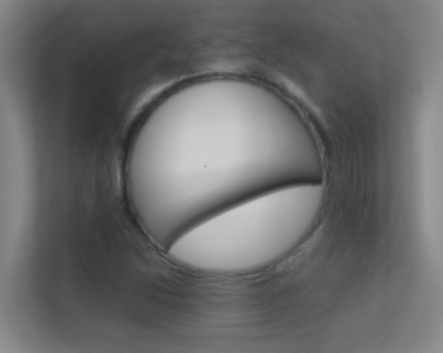 X0000113871214200909240959