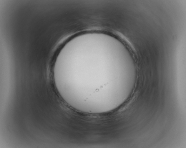X0000113871215200909240959