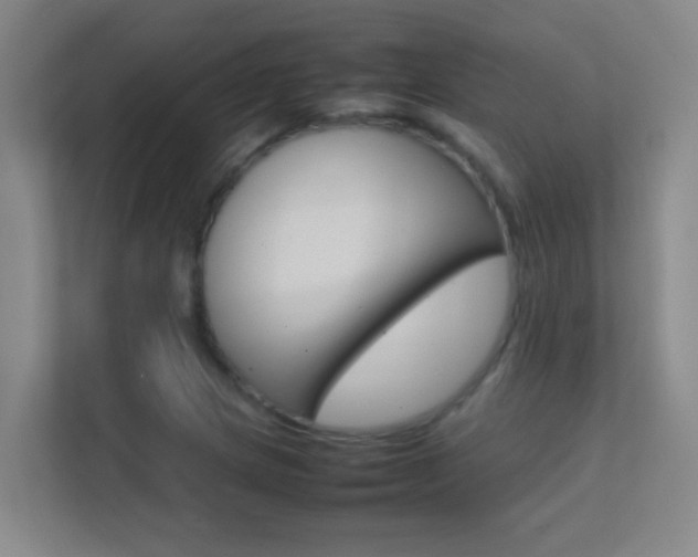 X0000113871217200909240959