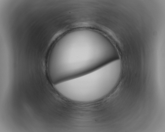 X0000113871218200909240959