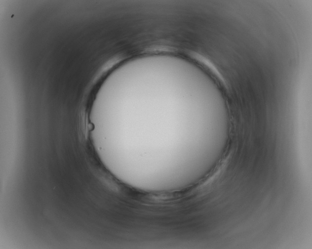 X0000113871219200909240959