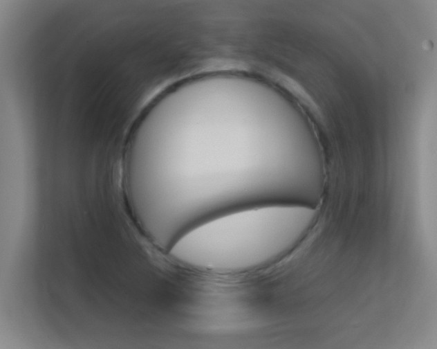 X0000113871220200909240959
