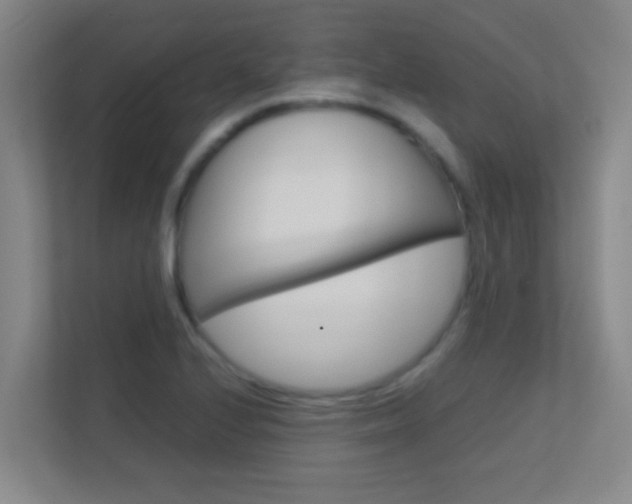 X0000113871224200909240959