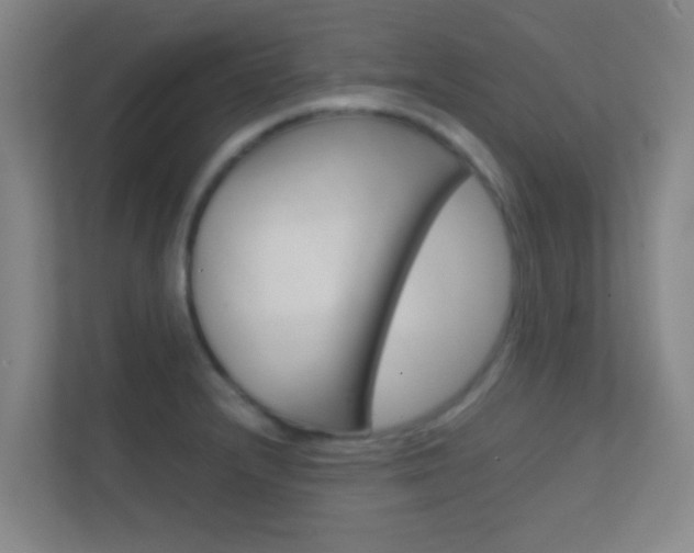 X0000113871232200909240959