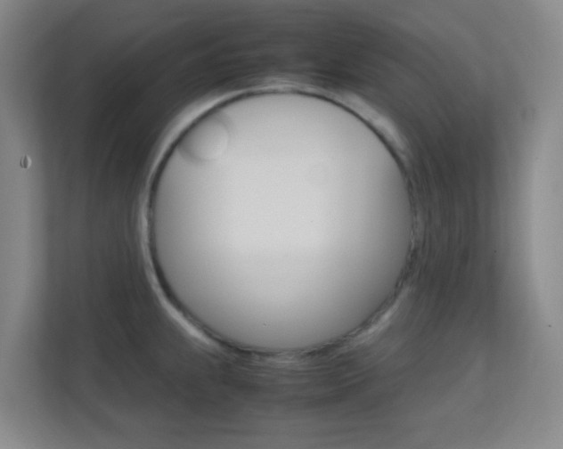 X0000113871239200909241000