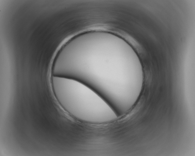 X0000113871240200909241000