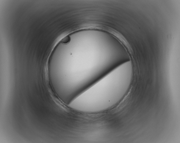 X0000113871242200909241000