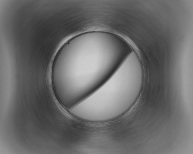 X0000113871246200909241000
