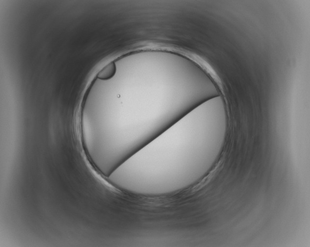 X0000113871247200909241000