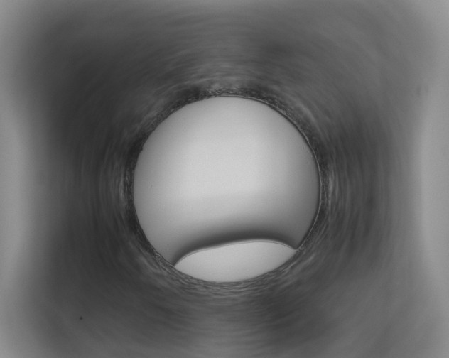X0000113871250200909240959