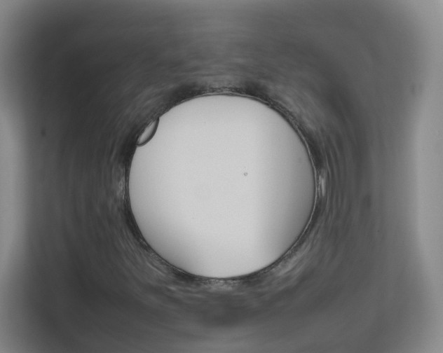 X0000113871251200909240959