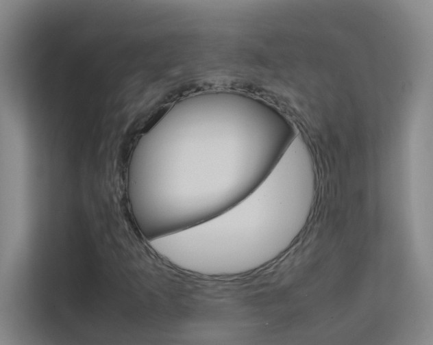 X0000113871253200909240959