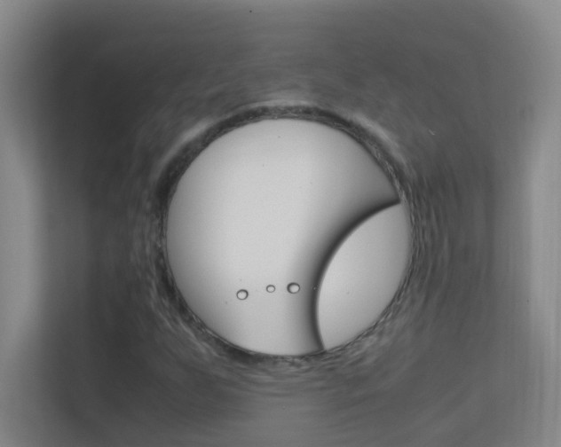 X0000113871255200909240959