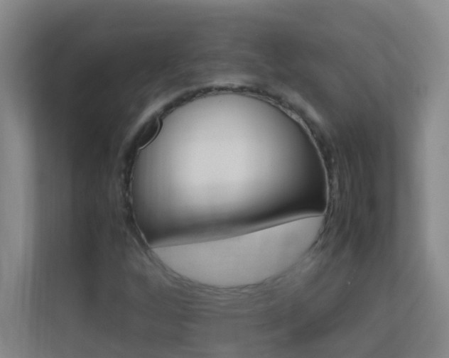 X0000113871256200909240959