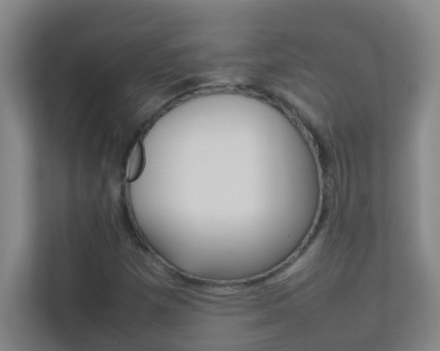 X0000113871257200909240959