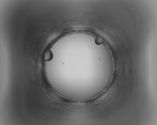 X0000113871261200909240959
