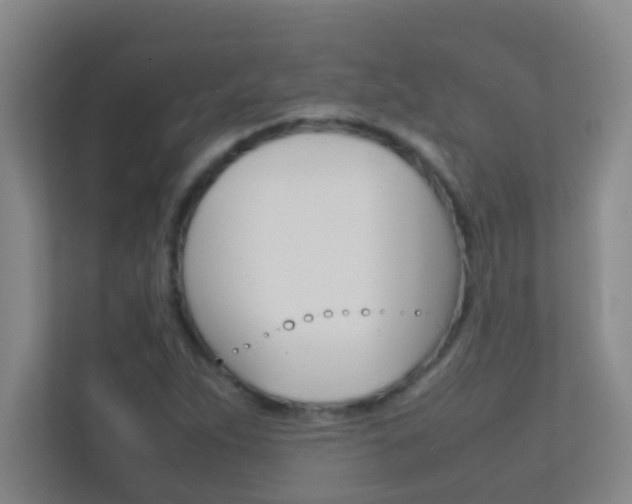 X0000113871263200909240959