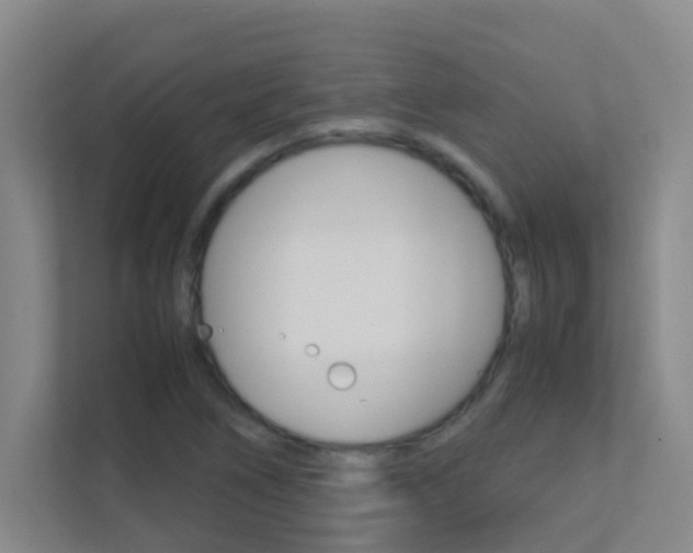 X0000113871266200909240959