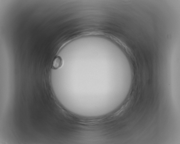 X0000113871273200909240959