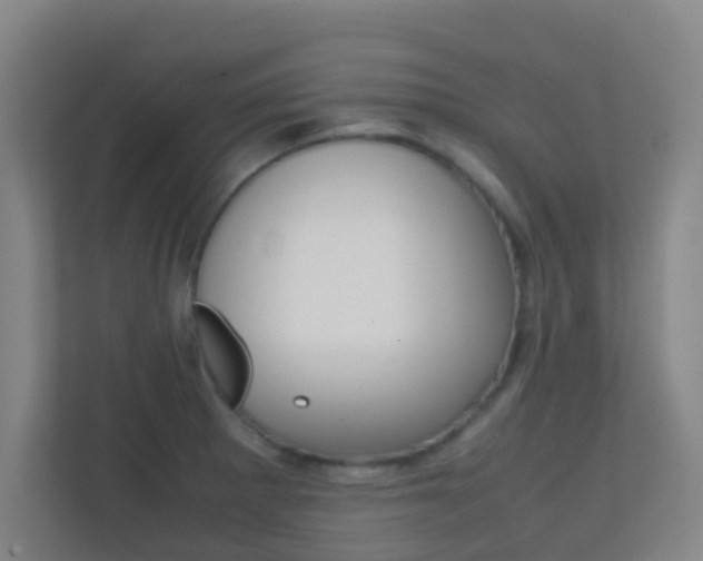 X0000113871281200909240959