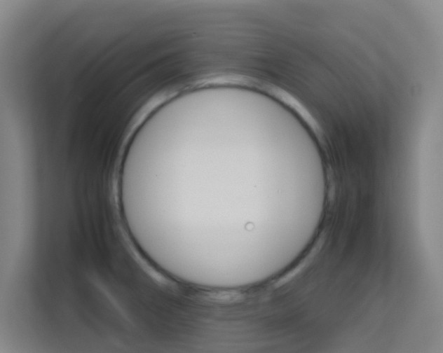 X0000113871282200909240959