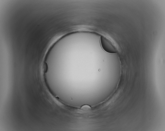 X0000113871285200909240959