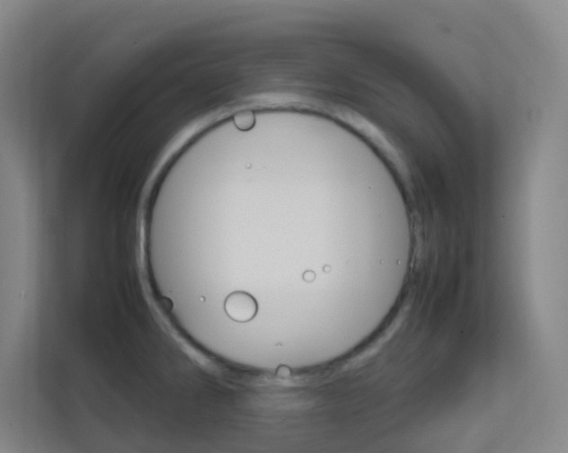 X0000113871286200909240959