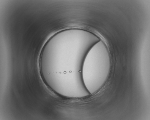 X0000113871291200909240959