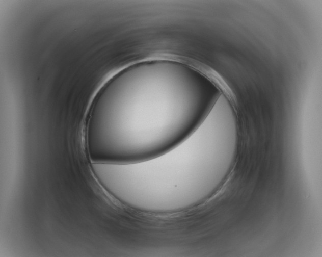 X0000113871292200909240958