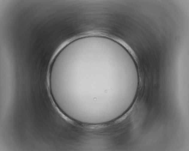 X0000113871294200909240958