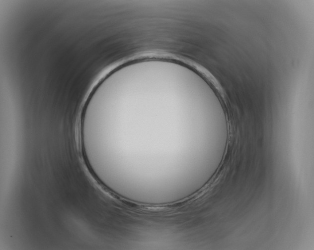 X0000113871295200909240958