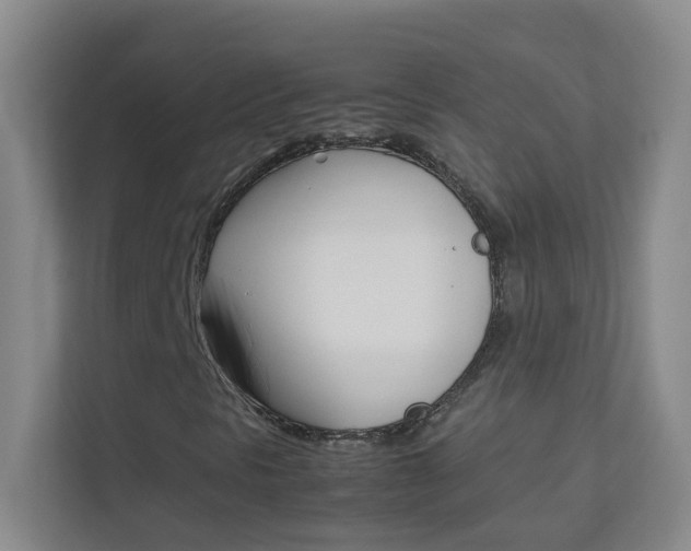 X0000113871297200909240958