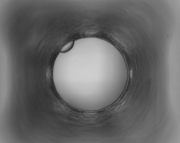 X0000113871299200909240958