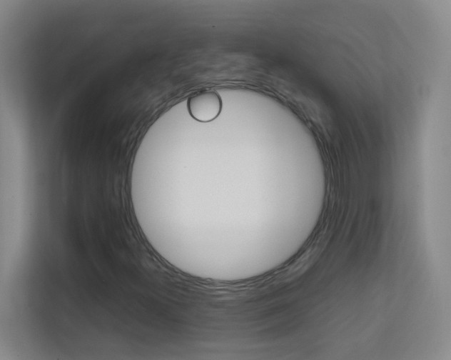X0000113871300200909240958
