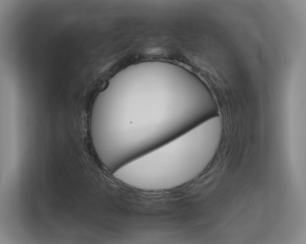 X0000113871301200909240958