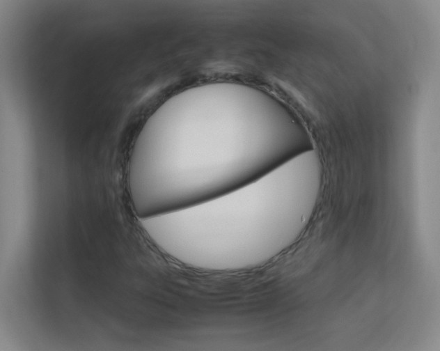 X0000113871303200909240958