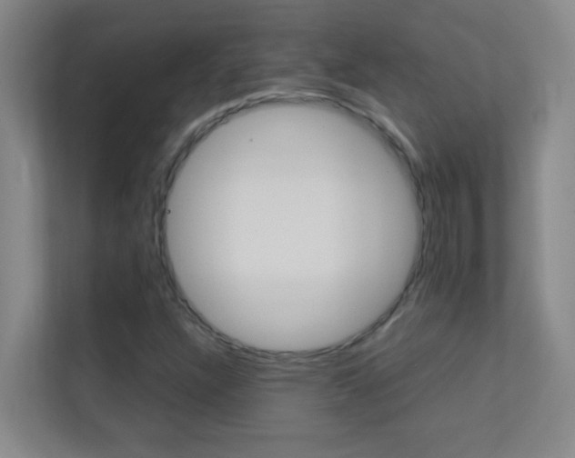 X0000113871304200909240958