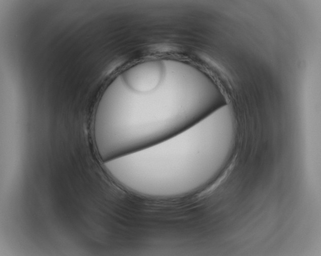 X0000113871305200909240958