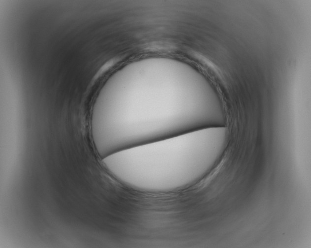 X0000113871306200909240958