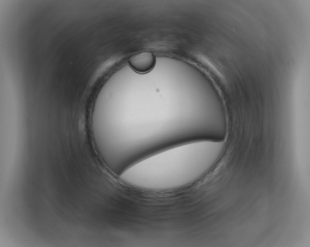 X0000113871307200909240958