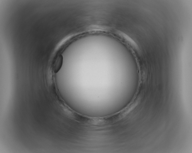 X0000113871310200909240958