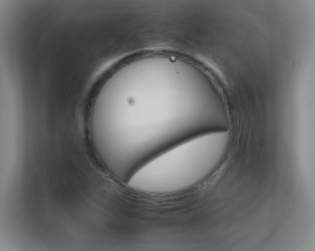 X0000113871311200909240958
