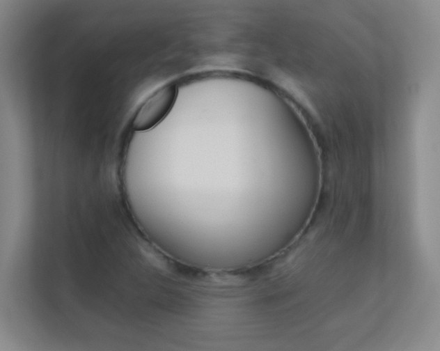 X0000113871312200909240958